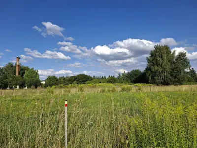 Działka 249/3: widok z narożnika działki, w tle charakterystyczny komin z gniazdem bociana